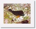06-Bequia - 58